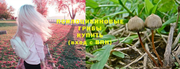 меф Кодинск