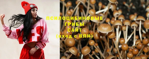 mix Козловка